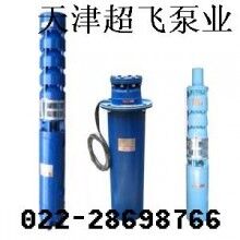 天津潛水電機(jī)，天津潛水泵